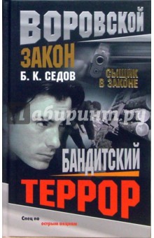 Сыщик в законе. Бандитский террор: Роман - Борис Седов
