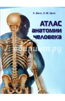 Атлас анатомии человека - Виге, Орте
