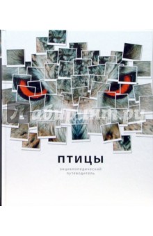 Птицы - Джоанна Бургер