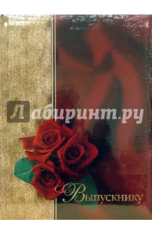Тематическая папка "Выпускнику" (FO-009) Тематическая папка "Выпускнику" (FO-009)