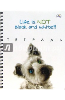 Тетрадь 96 листов, клетка (ТСЛ6961294,95,96,97) Black&white Тетрадь 96 листов, клетка (ТСЛ6961294,95,96,97) Black&white