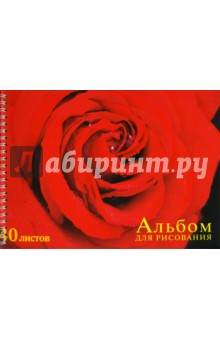 Альбом для рисования 40 листов Красная роза (АЛС340215) Альбом для рисования 40 листов Красная роза (АЛС340215)