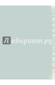 Файл-вкладыш с перфорацией А4 (100шт/упак) Файл-вкладыш с перфорацией А4 (100шт/упак)