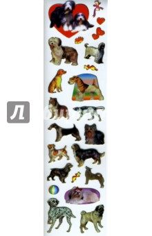 Наклейки детские с золотой окантовкой (6,5х24см). В ассортименте Наклейки детские с золотой окантовкой (6,5х24см). В ассортименте