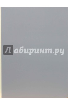 Папка на 40 файлов А4 серая Папка на 40 файлов А4 серая