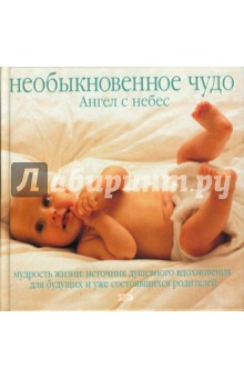 Том Бернс - Необыкновенное чудо. Ангел с небес. Мудрость жизни. Источник душевного вдохновения... обложка книги Том Бернс - Необыкновенное чудо. Ангел с небес. Мудрость жизни. Источник душевного вдохновения... обложка книги