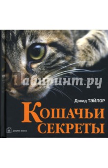 Дэвид Тэйлор - Кошачьи секреты обложка книги Дэвид Тэйлор - Кошачьи секреты обложка книги