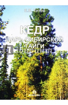 Кедр - Евгений Титов