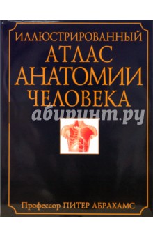 Питер Абрахамс - Иллюстрированный атлас анатомии человека. Полное описание жизнедеятельности тела человека обложка книги Питер Абрахамс - Иллюстрированный атлас анатомии человека. Полное описание жизнедеятельности тела человека обложка книги