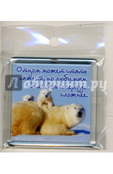 Магнитные подарочки М-252 Отцом может стать каждый... Магнитные подарочки М-252 Отцом может стать каждый...