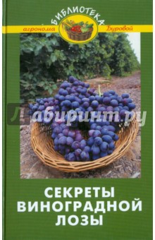 Валентина Бурова - Секреты виноградной лозы обложка книги Валентина Бурова - Секреты виноградной лозы обложка книги