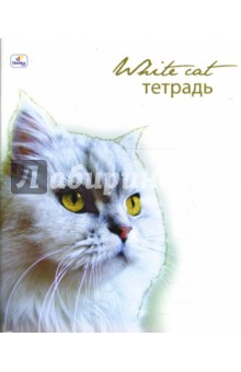 Тетрадь 48 листов клетка (ТКБ8481611) Стильные кошки. Белая на белом Тетрадь 48 листов клетка (ТКБ8481611) Стильные кошки. Белая на белом