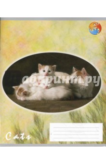 Тетрадь 12 листов (АВ-005) косая линейка Тетрадь 12 листов (АВ-005) косая линейка