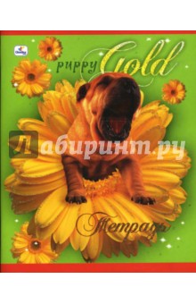 Тетрадь 48 листов, клетка (ТКБ8481844) Щенок шарпей Тетрадь 48 листов, клетка (ТКБ8481844) Щенок шарпей