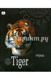 Тетрадь 48л клетка ТКЛ8481596 GEO Тигр Тетрадь 48л клетка ТКЛ8481596 GEO Тигр