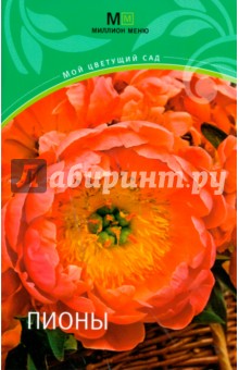 Пионы обложка книги Пионы обложка книги