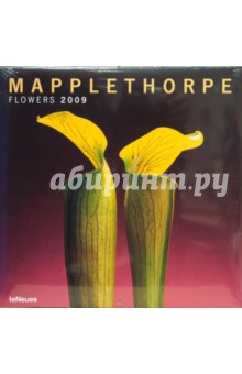 Календарь Мэпплторп 2009 (2828-1) Календарь Мэпплторп 2009 (2828-1)