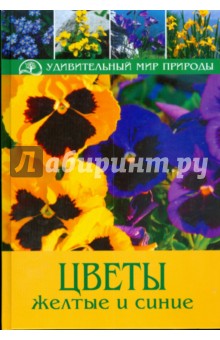 Бруно Кремер - Цветы желтые и синие обложка книги Бруно Кремер - Цветы желтые и синие обложка книги