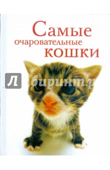 Самые очаровательные кошки обложка книги Самые очаровательные кошки обложка книги