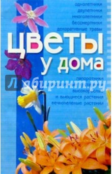 Наталья Олянюк - Цветы у дома. Мини-энциклопедия обложка книги Наталья Олянюк - Цветы у дома. Мини-энциклопедия обложка книги