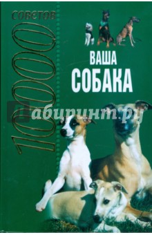 В. Давыденко - 10000 советов: Ваша собака обложка книги В. Давыденко - 10000 советов: Ваша собака обложка книги