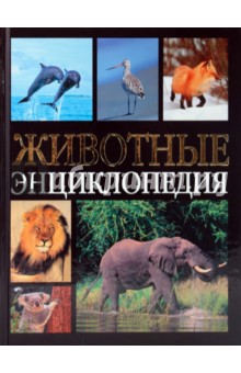 Ю. Касаткина - Животные. Энциклопедия обложка книги Ю. Касаткина - Животные. Энциклопедия обложка книги