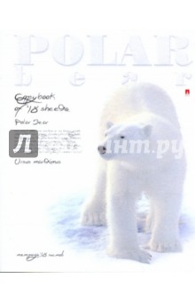 Тетрадь "Polar Bear" 48 листов (7-48-795) Тетрадь "Polar Bear" 48 листов (7-48-795)
