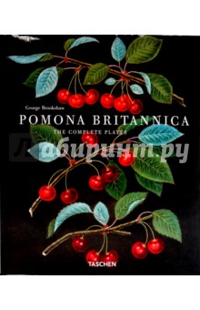 Pomona Britannica - George Brookshaw