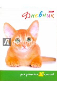 Дневник для 1-4 классов "Рыжий котенок" (48ДмТп5_4172) Дневник для 1-4 классов "Рыжий котенок" (48ДмТп5_4172)