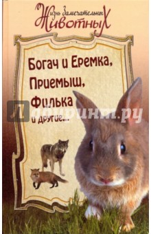 Богач и Еремка, Приемыш, Филька и другие...