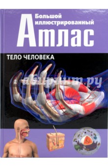 Тело человека. Большой иллюстрированный атлас человека