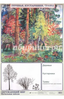 Плешаков, Яременко - Окружающий мир. Деревья, кустарники, травы. Природные зоны. Лесная зона (тайга) обложка книги Плешаков, Яременко - Окружающий мир. Деревья, кустарники, травы. Природные зоны. Лесная зона (тайга) обложка книги