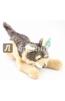 Волчонок (87556/06072455) Волчонок (87556/06072455)