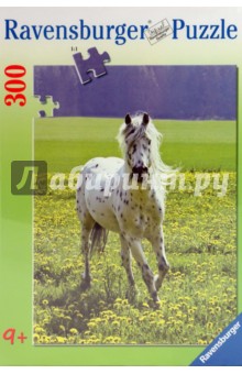 Пазл-300 "Скакун на лугу" (131693) Пазл-300 "Скакун на лугу" (131693)