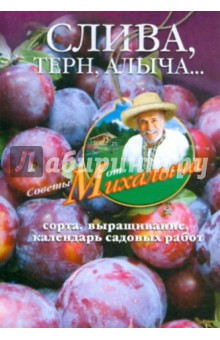 Слива, терн, алыча...Сорта, выращивание, календарь садовых работ - Николай Звонарев