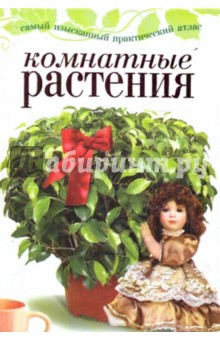 Комнатные растения - Екатерина Капранова Комнатные растения - Екатерина Капранова