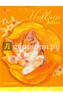 Книга для записей 64 листа "Котенок в цветке" (КЗИ0164681) Книга для записей 64 листа "Котенок в цветке" (КЗИ0164681)
