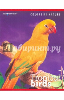 Тетрадь "Тропические птицы" 48 листов, клетка (811050-55) Тетрадь "Тропические птицы" 48 листов, клетка (811050-55)