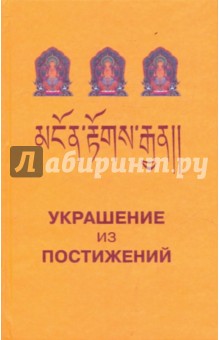 Украшение из постижений (I-III главы) обложка книги Украшение из постижений (I-III главы) обложка книги