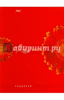 Тетрадь на кольцах "Red style", 240 листов (240ТК5_2791) Тетрадь на кольцах "Red style", 240 листов (240ТК5_2791)
