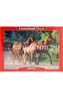 Puzzle-2000. "Лошади" (C-200313-NEW) Puzzle-2000. "Лошади" (C-200313-NEW)