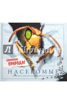 Стив Паркер - Насекомые. Сюрпризы природы обложка книги Стив Паркер - Насекомые. Сюрпризы природы обложка книги