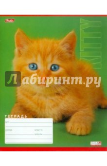 Тетрадь 24 листа, клетка "Котята" (24Т5С1) Тетрадь 24 листа, клетка "Котята" (24Т5С1)