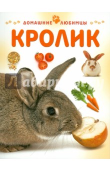 Кролик - Мэтью Рейнер