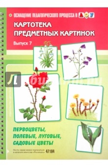 Наталия Нищева - Картотека предметных картинок. Выпуск 7. Первоцветы, полевые, луговые, садовые цветы обложка книги Наталия Нищева - Картотека предметных картинок. Выпуск 7. Первоцветы, полевые, луговые, садовые цветы обложка книги