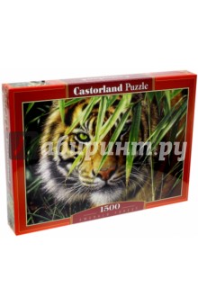 Puzzle-1500 "Тигр" (С-150816) Puzzle-1500 "Тигр" (С-150816)