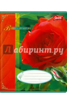 Тетрадь 96 листов, линейка А5 (RD-176) Тетрадь 96 листов, линейка А5 (RD-176)
