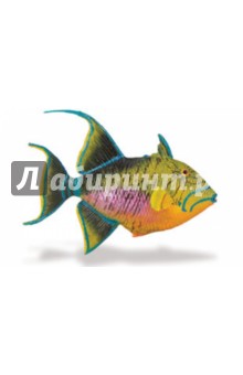 Королевский спинорог (259929) Королевский спинорог (259929)
