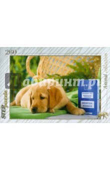 Step Puzzle-260 "Ищу хозяина" (74050) Step Puzzle-260 "Ищу хозяина" (74050)