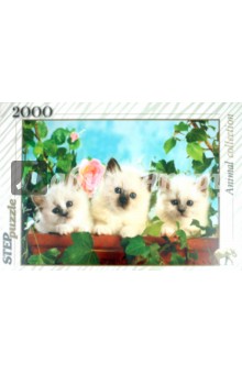 Step Puzzle-2000 "Котята с розой" (84018) Step Puzzle-2000 "Котята с розой" (84018)